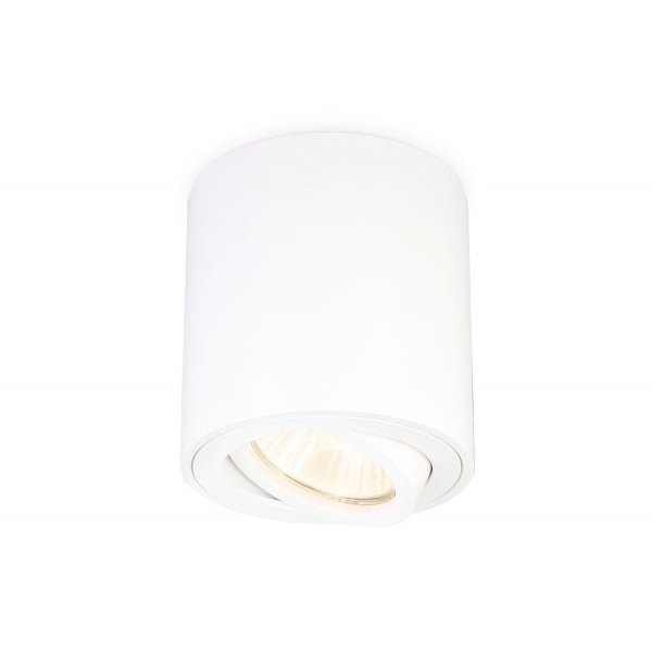 Потолочный светильник Ambrella light Techno Spot TN22701 Потолочный светильник Ambrella light Techno Spot TN22701