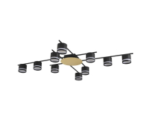 Светильник потолочный Lumion BENUA 8304/10C