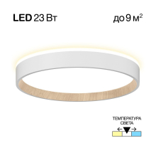 Потолочный светодиодный светильник Citilux Etalon CL750240