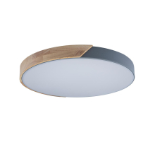 Потолочный светодиодный светильник Loft IT Axel 10004/36 grey