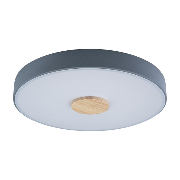 Потолочный светодиодный светильник Loft IT Axel 10003/24 grey Потолочный светодиодный светильник Loft IT Axel 10003/24 grey