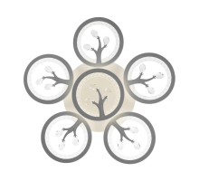 Потолочный светильник Freya FR10017CL-L92W