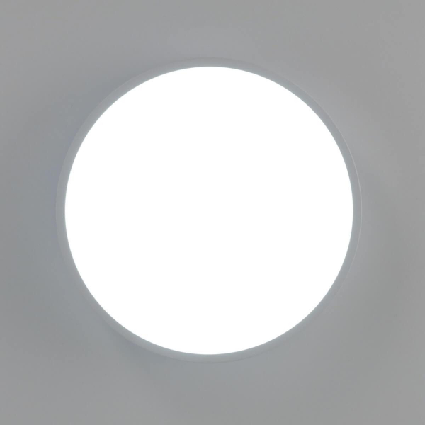 Потолочный светильник Citilux Купер CL72424V0 Потолочный светильник Citilux Купер CL72424V0