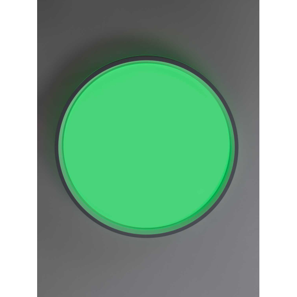 Потолочный светильник Citilux CL753453G