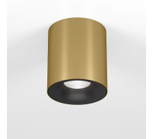 Потолочный светодиодный светильник Elektrostandard Primo 25116/LED a069414