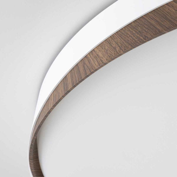 Потолочный светодиодный светильник Citilux Bonny CL754450G