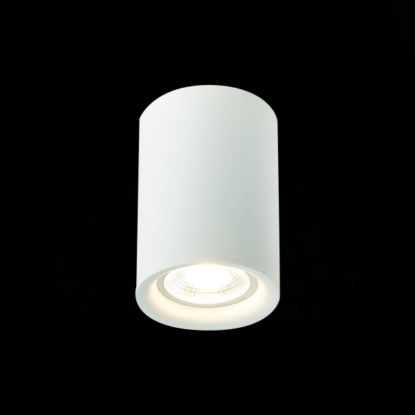 Потолочный светильник ST Luce ST114.507.01 Потолочный светильник ST Luce ST114.507.01