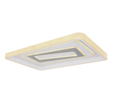 Потолочный светодиодный светильник Globo Pesaro 48270-55D