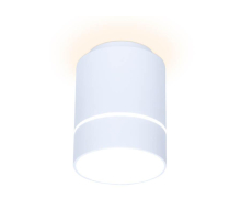 Потолочный светодиодный светильник Ambrella light Techno Spot TN256