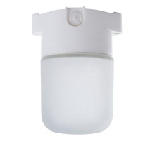 Потолочный светильник Feron НББ 01-60-001 41406