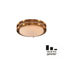 Потолочный светодиодный светильник Citilux Бостон CL709203N