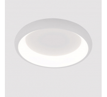 Потолочный светодиодный светильник Arte Lamp Menkib A2694PL-45WH