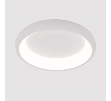 Потолочный светодиодный светильник Arte Lamp Menkib A2694PL-45WH