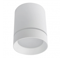 Потолочный светодиодный светильник Arte Lamp Elle A1949PL-1WH