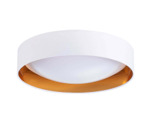 Потолочный светодиодный светильник Evoluce Orbio SLE201122-01