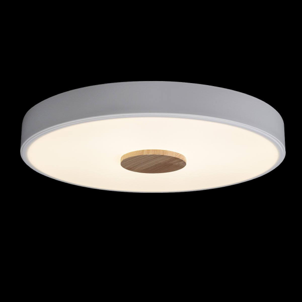 Потолочный светодиодный светильник Loft IT Axel 10003/24 white Потолочный светодиодный светильник Loft IT Axel 10003/24 white