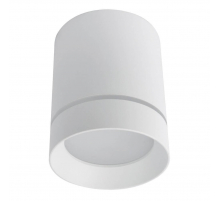 Потолочный светодиодный светильник Arte Lamp A1909PL-1WH