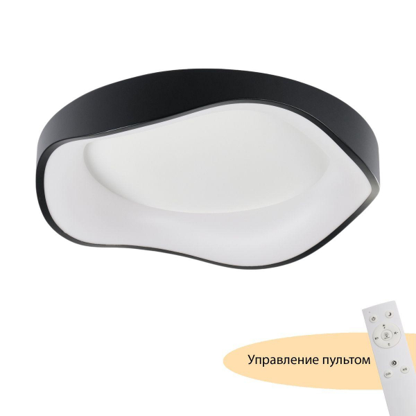 Потолочный светодиодный светильник MyFar Ceiling Diona MR9171-CL Потолочный светодиодный светильник MyFar Ceiling Diona MR9171-CL