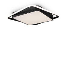 Потолочный светильник Freya FR10030CL-L88B