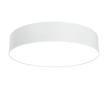 Потолочный светодиодный светильник Maytoni Technical Zon C032CL-L43W3K