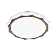 Потолочный светодиодный светильник Profit Light 2072/450 WH+CR RGB