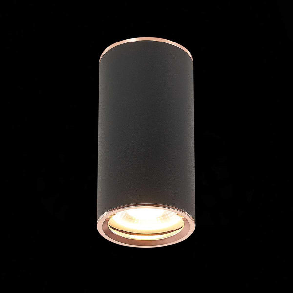 Потолочный светильник ST Luce Chomus ST111.427.01 Потолочный светильник ST Luce Chomus ST111.427.01