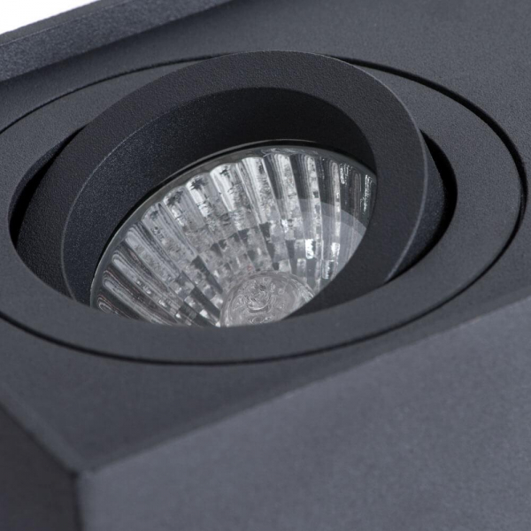 Потолочный светильник Arte Lamp Factor A5544PL-2BK Потолочный светильник Arte Lamp Factor A5544PL-2BK