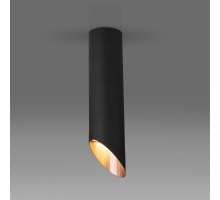 Потолочный светильник Elektrostandard DLN115 GU10 черный/золото a050122