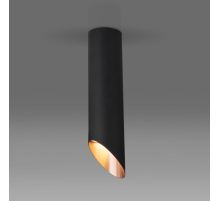 Потолочный светильник Elektrostandard DLN115 GU10 черный/золото a050122