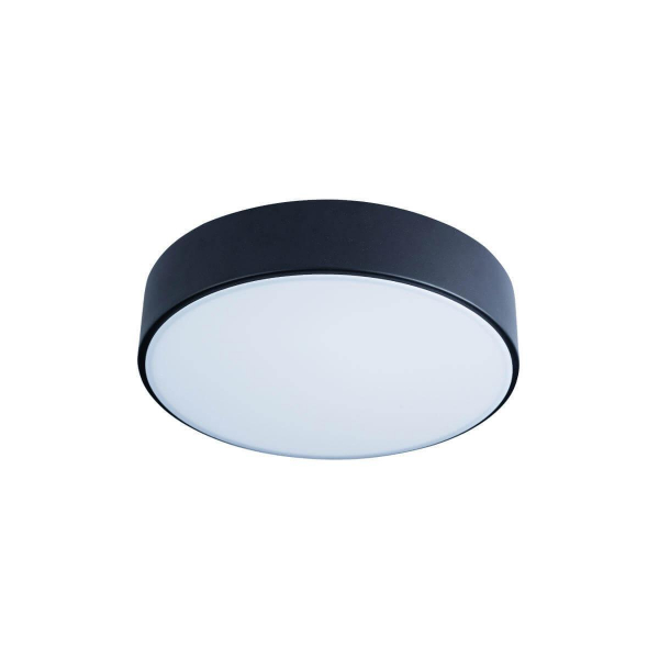 Потолочный светодиодный светильник Loft IT Axel 10002/12 black Потолочный светодиодный светильник Loft IT Axel 10002/12 black