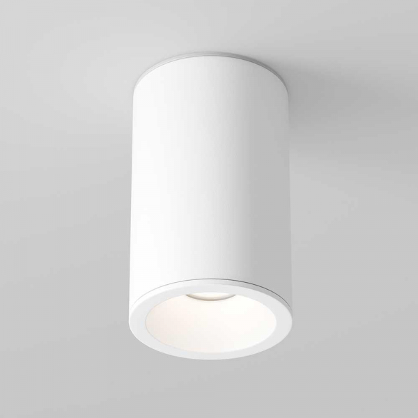 Потолочный светильник Maytoni Technical Zoom C029CL-01-S-W Потолочный светильник Maytoni Technical Zoom C029CL-01-S-W