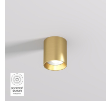 Потолочный светодиодный светильник Denkirs Shine Tube DK2610-SB