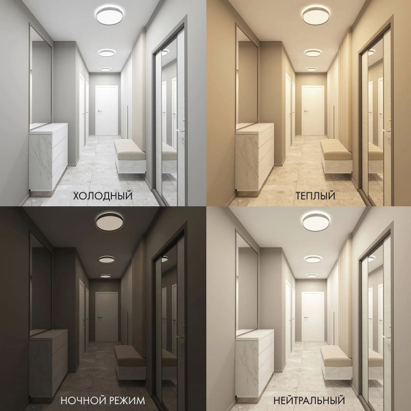 Потолочный светодиодный светильник Denkirs DK6510-WH/1 Потолочный светодиодный светильник Denkirs DK6510-WH/1