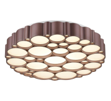 Потолочный светильник Vele Luce Bible VL7156L01