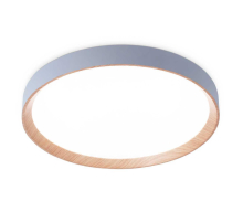 Потолочный светодиодный светильник Ambrella light Orbital Design FZ1322