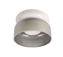 Потолочный светильник Loft IT Totem 10466 Smoke matte