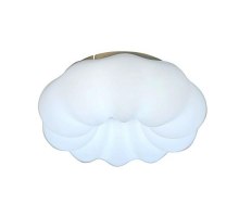 Потолочный светодиодный светильник Zortes Soft ZRS.1118.2