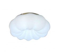 Потолочный светодиодный светильник Zortes Soft ZRS.1118.2