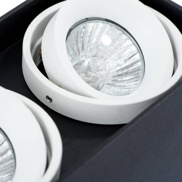 Потолочный светильник Arte Lamp A5655PL-2BK Потолочный светильник Arte Lamp A5655PL-2BK