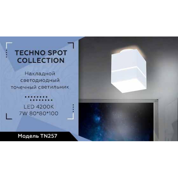 Потолочный светодиодный светильник Ambrella light Techno Spot TN257 Потолочный светодиодный светильник Ambrella light Techno Spot TN257