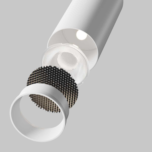 Потолочный светильник Maytoni Technical C055CL-L12W2.7K-SS-W