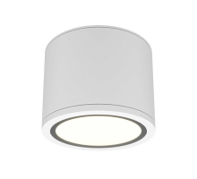 Потолочный светильник Maytoni Technical Rendo C095CL-GX53-W