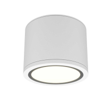 Потолочный светильник Maytoni Technical Rendo C095CL-GX53-W