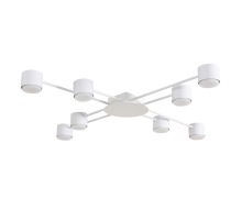 Светильник потолочный Lumion BENUA 8305/8C