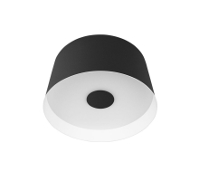 Потолочный светодиодный светильник Loft IT Duo 10360S Black