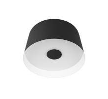 Потолочный светодиодный светильник Loft IT Duo 10360S Black