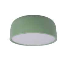 Потолочный светодиодный светильник Loft IT Axel 10201/350 Green