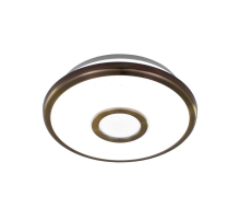 Потолочный светодиодный светильник Citilux СтарЛайт CL70313