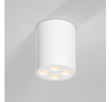 Потолочный светильник Elektrostandard 25111/LED a067482