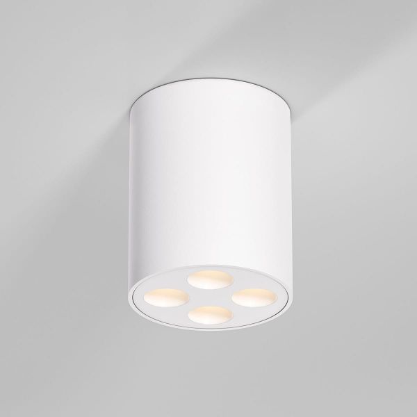Потолочный светильник Elektrostandard 25111/LED a067482 Потолочный светильник Elektrostandard 25111/LED a067482
